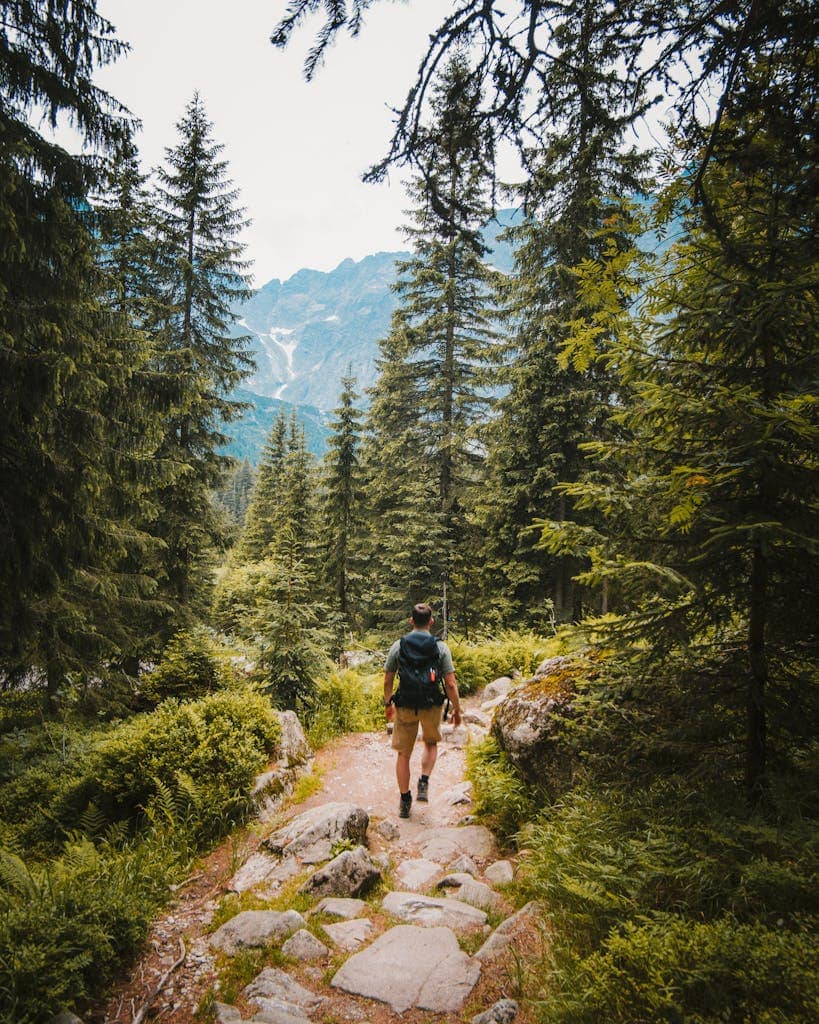 Turista jdoucí po cestě v horách