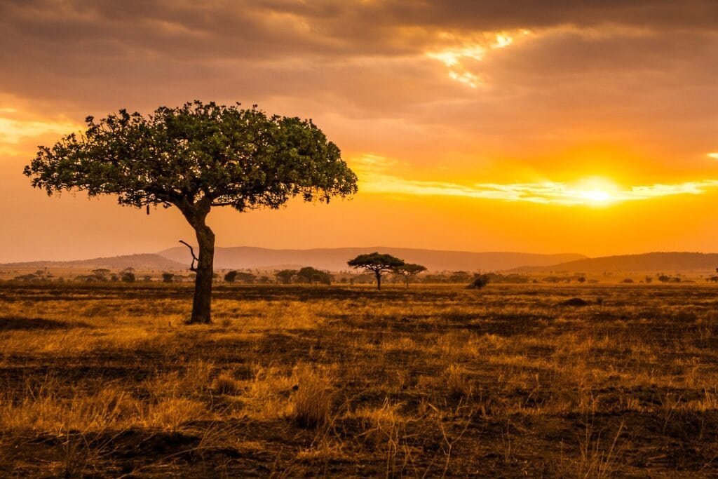 Západ slunce v národním parku Serengeti, Tanzanie
